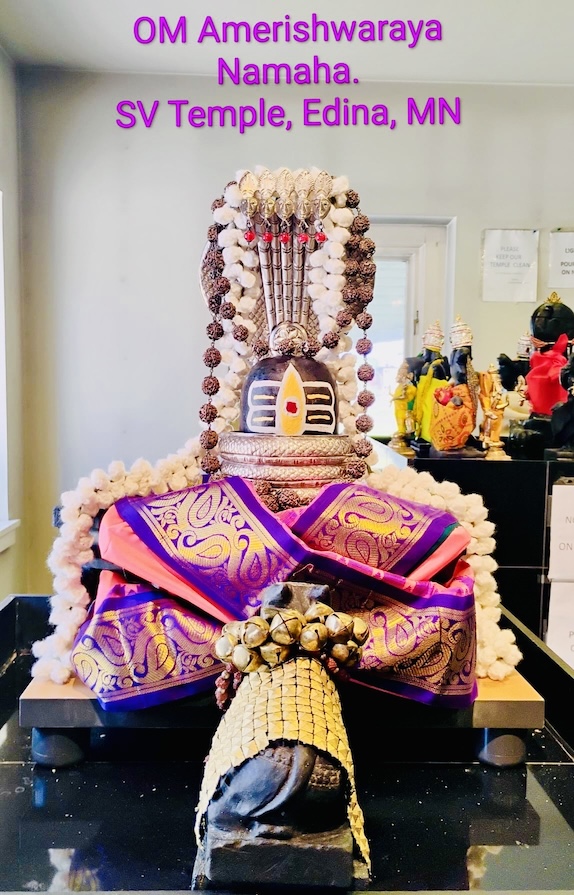 Om Amerishwaraya Namaha